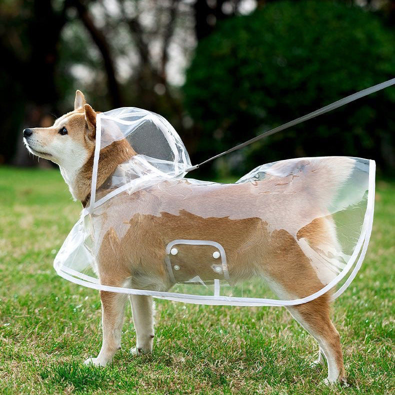 EVA Transparent Dog Raincoat