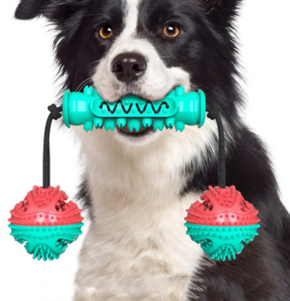 Teeth Cleaning Chew Toy
