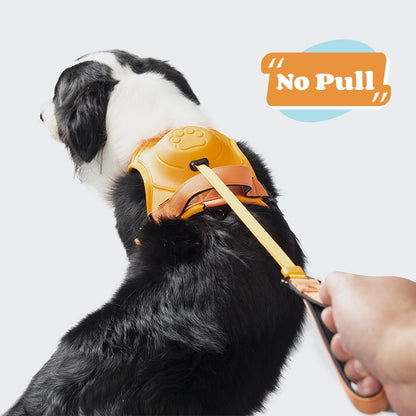 Pet No Pull Outdoor Harness