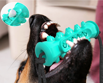 Teeth Cleaning Chew Toy