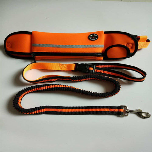 Reflective Pet Leash Waist Bag