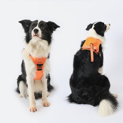 Pet No Pull Outdoor Harness