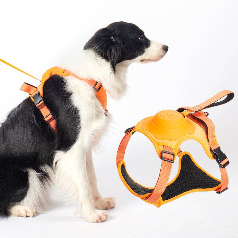 Pet No Pull Outdoor Harness