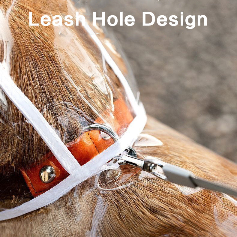 EVA Transparent Dog Raincoat