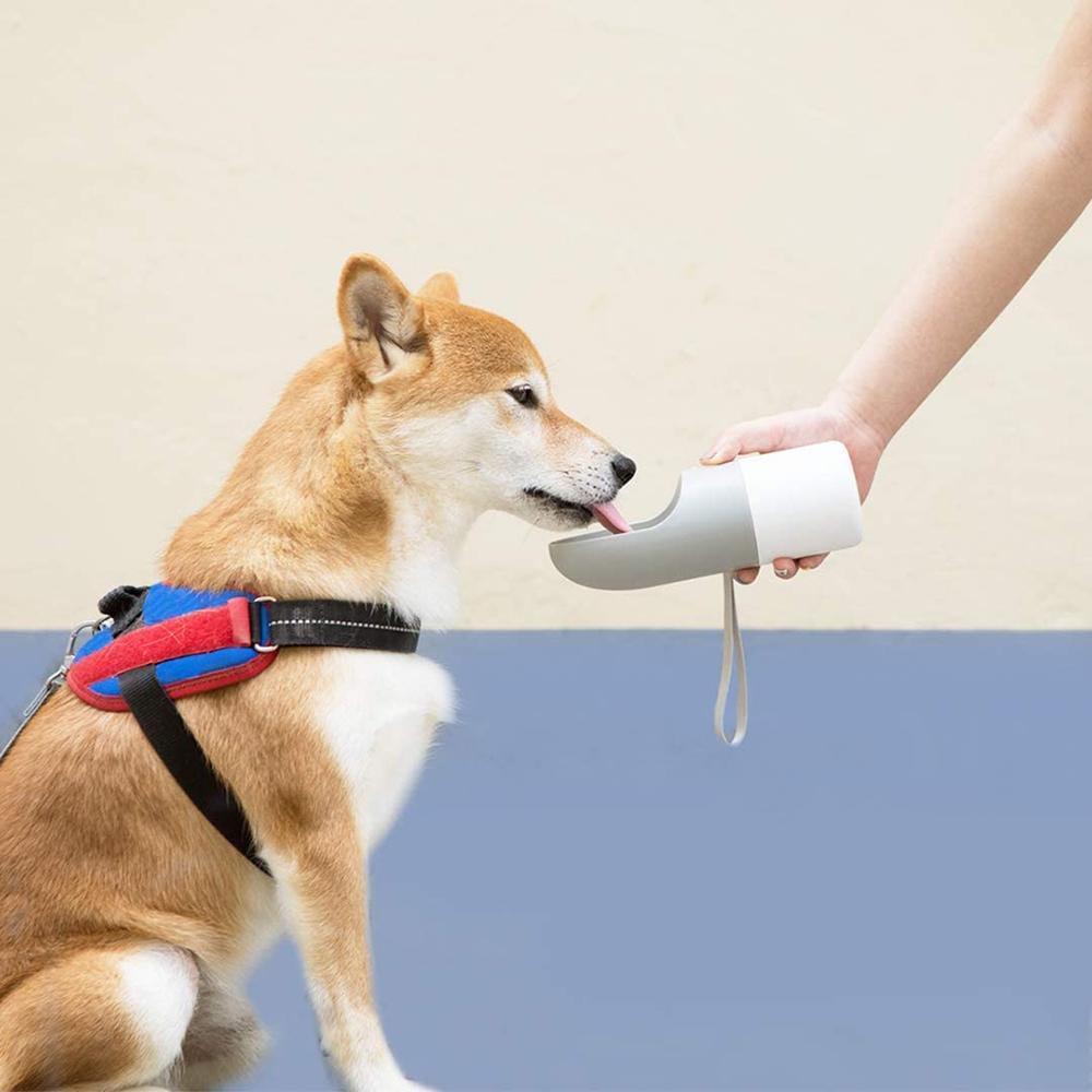 INSTACHEW Rover Pet Travel Bottle