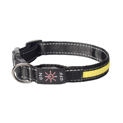 Waterproof LED Dog Collar