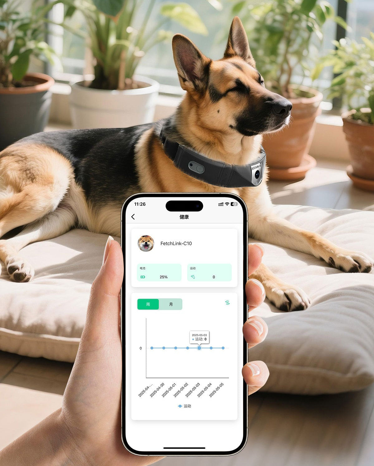 FetchLink C10 Smart Pet Collar